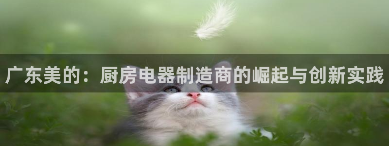 摩登7彩票平台是啥